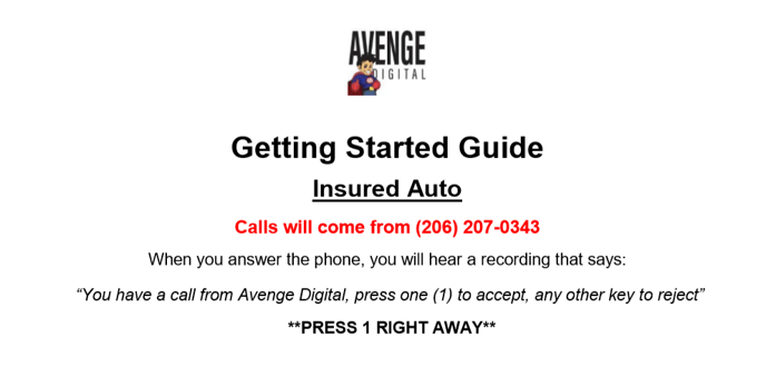 insured auto